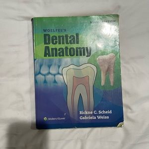 Dental Anatomy